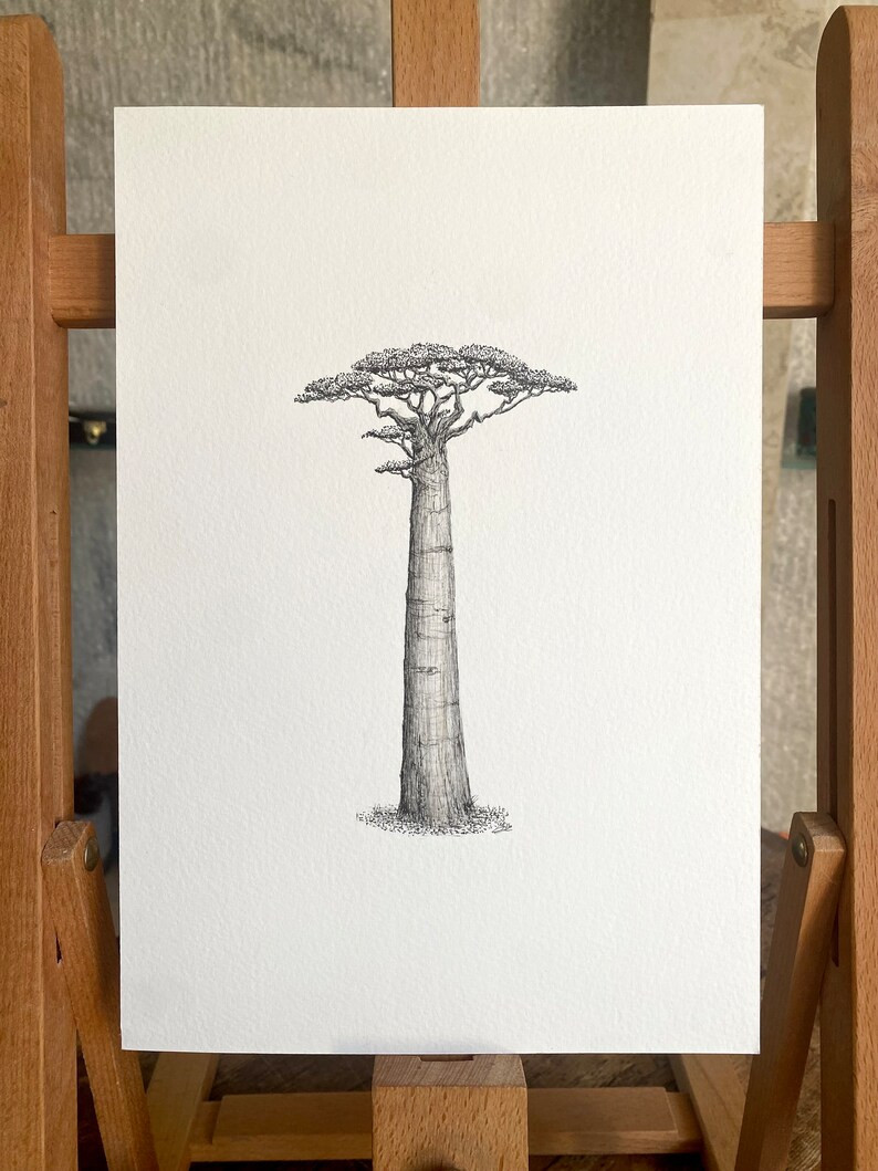 Baobab Tree | Original fine ink artwork, black and white, nature drawing. African plants, botanic... | Etsy (US)