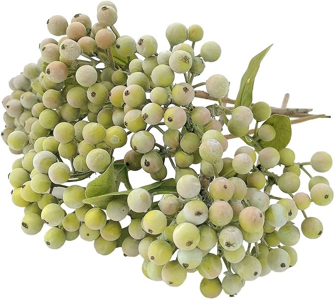 Brand: M2cbridge | Amazon (US)