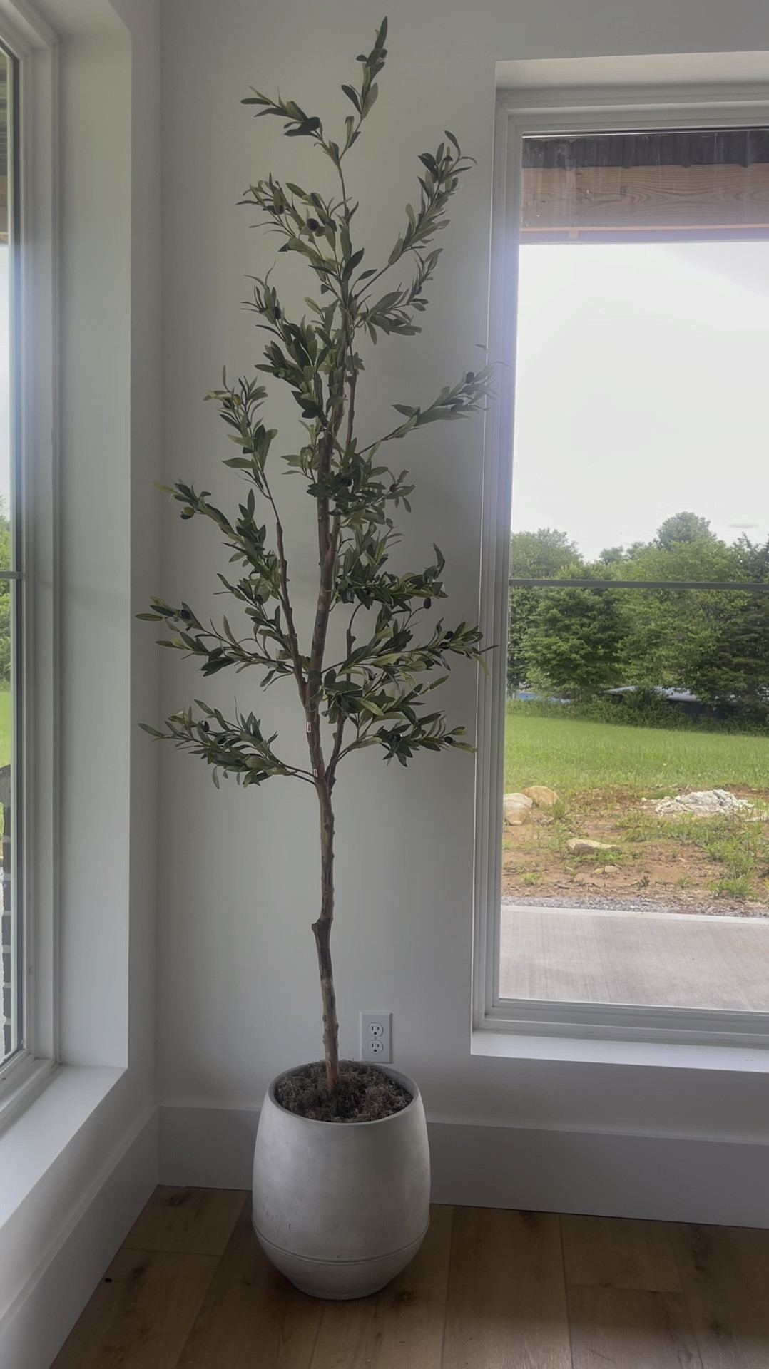 Designer looks for less | faux olive tree | concrete planter | Amazon finds 

#LTKHome #LTKGiftGuide #LTKFindsUnder100