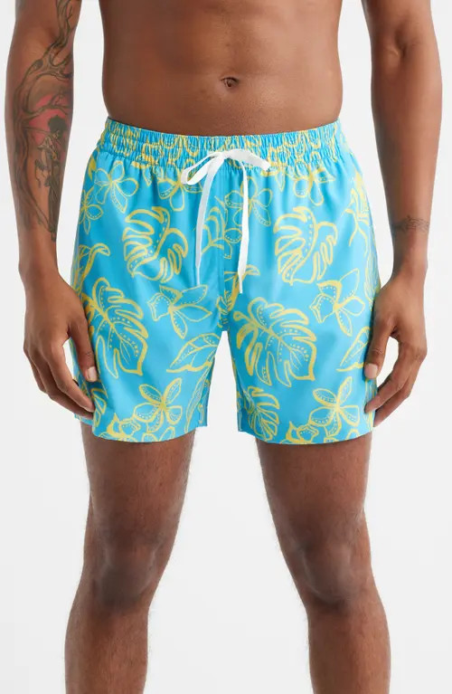 Chubbies The Arboretum Classic Lined 5.5-Inch Swim Trunks in Bright Blue at Nordstrom, Size Xxx-L... | Nordstrom