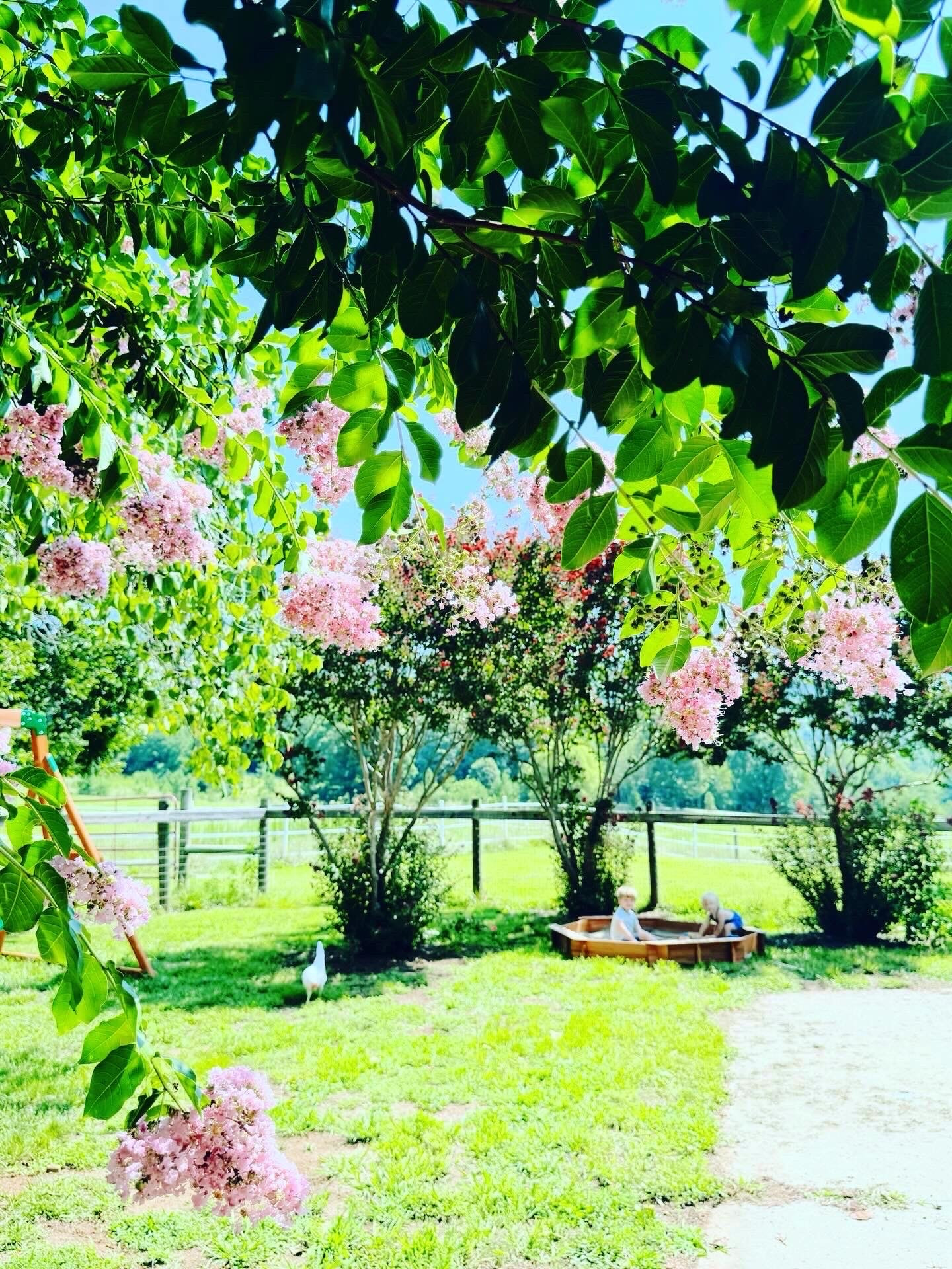 What a fun 🤩 start to the week it’s been 🫶🏽 - summer days ☀️ playing with my babies 👶🏼 out on the farm 🌳🌾 and in the garden 🪴🦋💐, lovin’ on our chickies 🐓🥚, and most importantly…. VBS ✝️ at church 💒 this week every night!! 🚀 Having such a fun time 🙌🏽 as a family (even Levi Rhett is getting to tag along and hang with mama & daddy!) and getting to see Judson thriving with so many buddies while learning about Jesus!! 💙 #wednesdaycameraroll #thesearethedays #vbsweek #vacationbibleschool