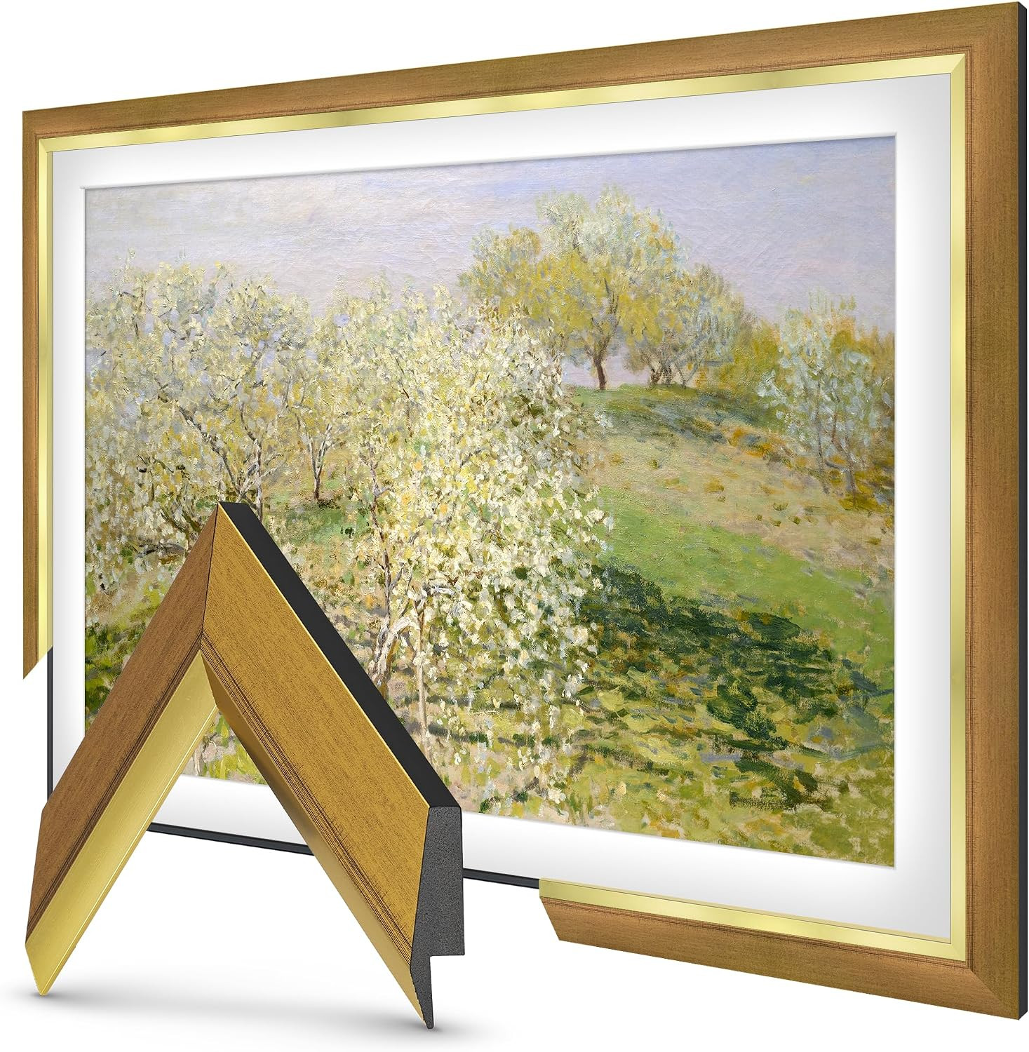 Modern Gold Leaf 32" Deco TV Frame for Samsung The Frame/Pro TVs | Amazon (US)