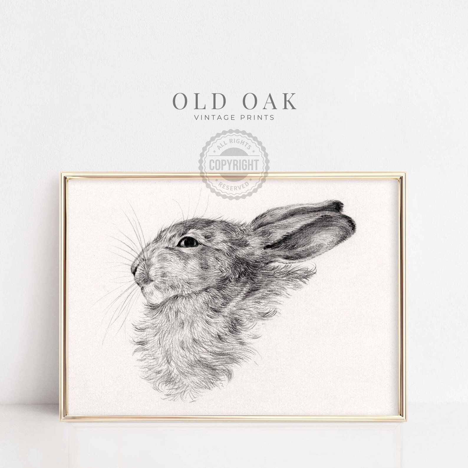 Vintage Rabbit Print  Neutral Country Nursery Wall Art  - Etsy | Etsy (US)