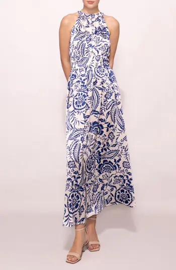 MELLODAY Print Ruffle Sleeveless Maxi Dress | Nordstrom | Nordstrom