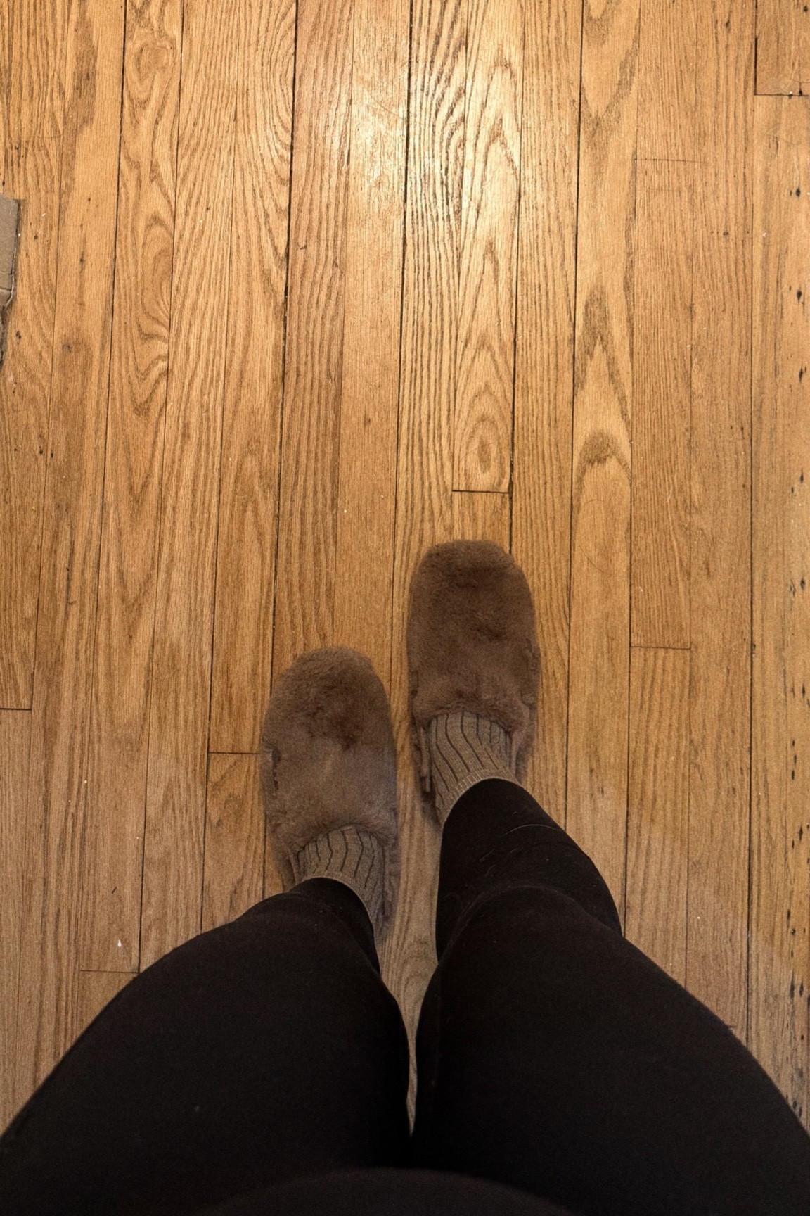 Brown slippers. Nike find. Spring 2025. 

#LTKSpring #LTKMostLoved #LTKFindsUnder100