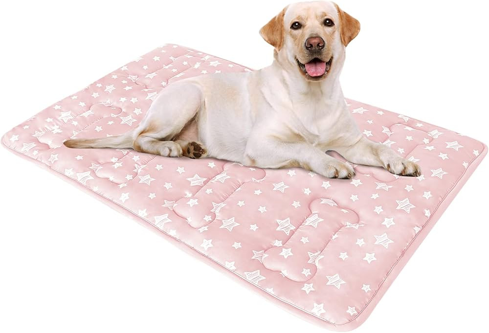 Dog Crate Mat (36" X 23"), Soft Dog Bed Mat with Cute Prints, Personalized Crate Pad, Anti-Slip B... | Amazon (US)