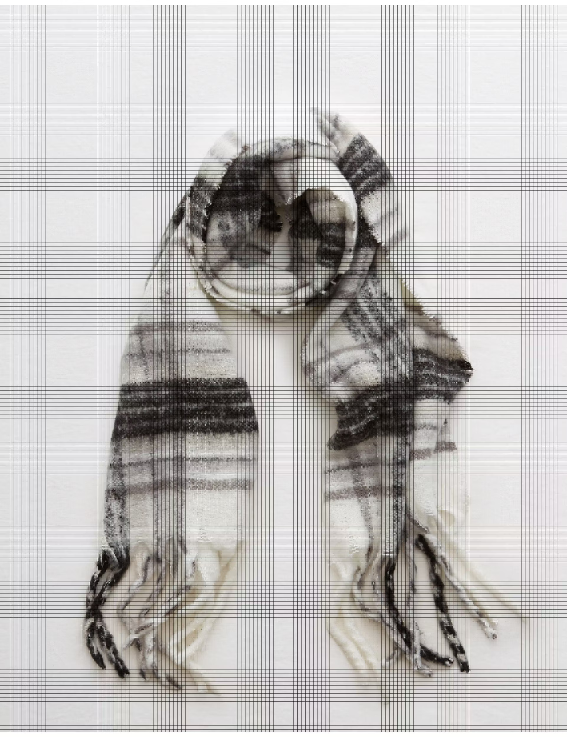 Aerie Blanket Scarf, Radiance | American Eagle Outfitters (US & CA)