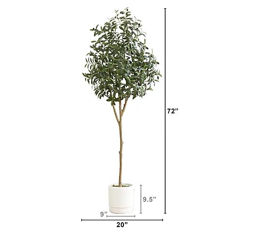 Nearly Natural 6' Artificial Olive Tree with White Planter - QVC.com | QVC