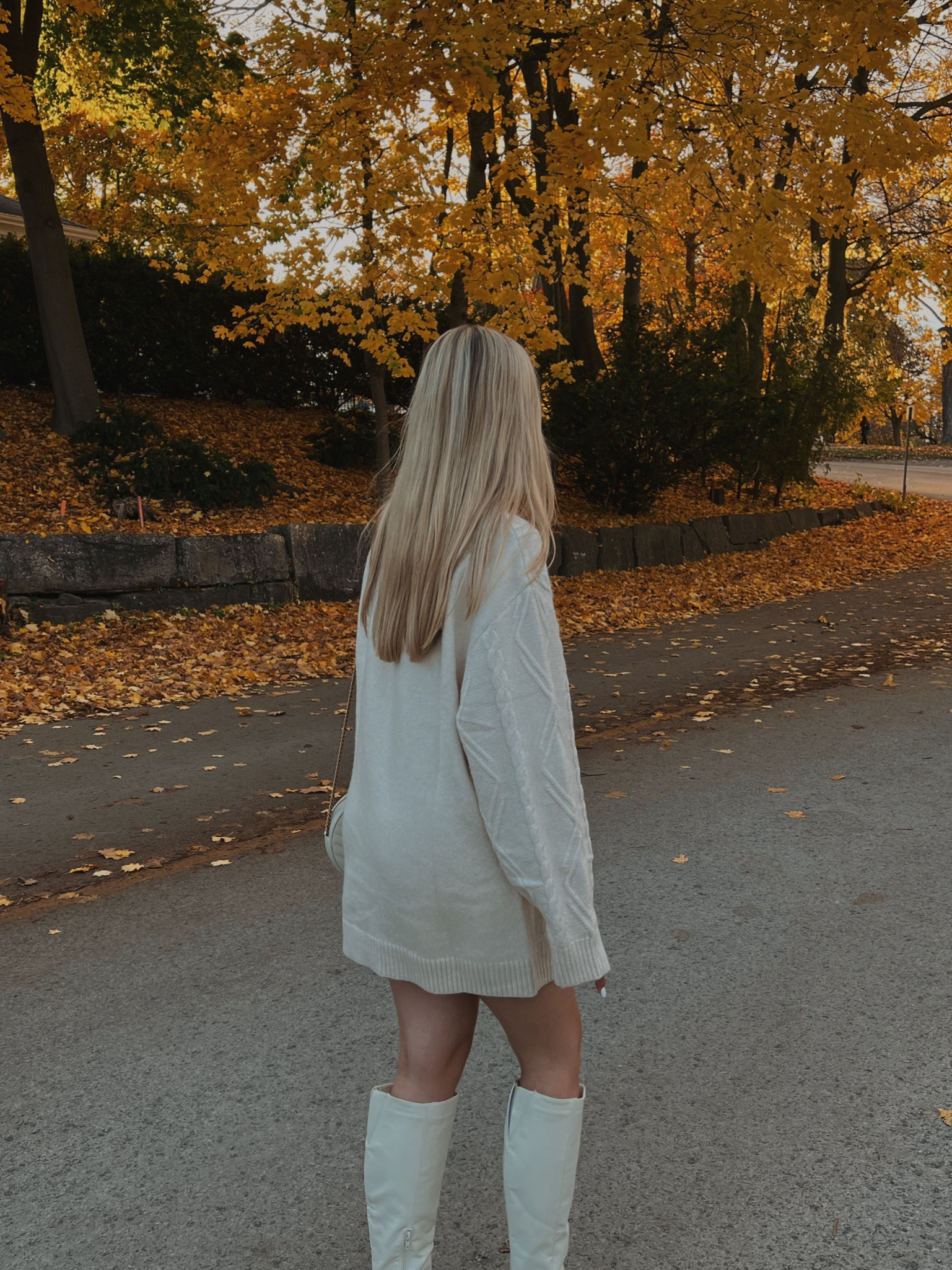 fall 🍂

#LTKSeasonal #LTKGiftGuide #LTKHoliday