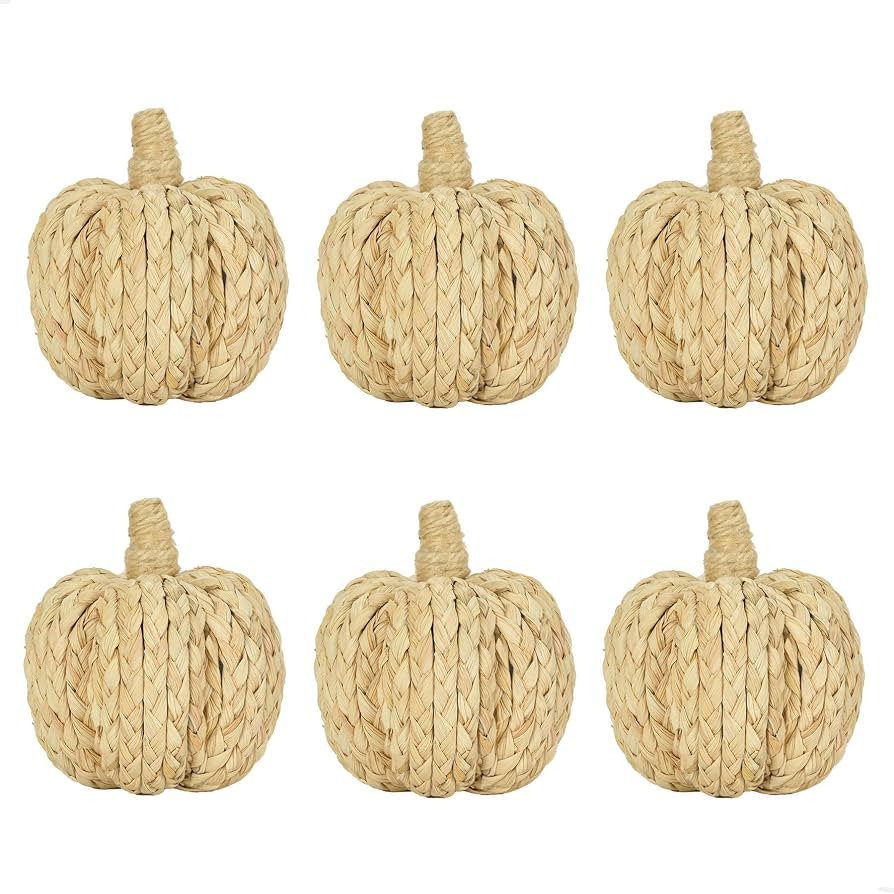 naturevibe 4.3 Inch Braided Cornhusk Pumpkin Decor Set of 6 Fall Home Decor | Amazon (US)