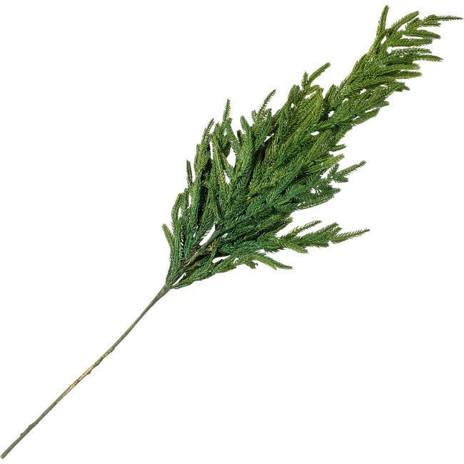 Green Norfolk Pine Branch | Maisonette