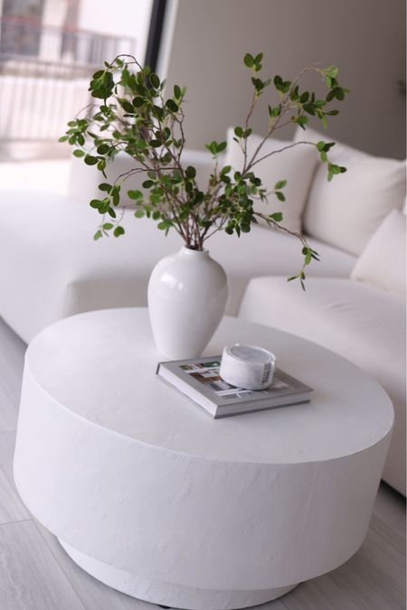 Target coffee table, home decor, coffee table, coffee table decor, studio McGee 

#LTKunder100 #LTKunder50 #LTKhome