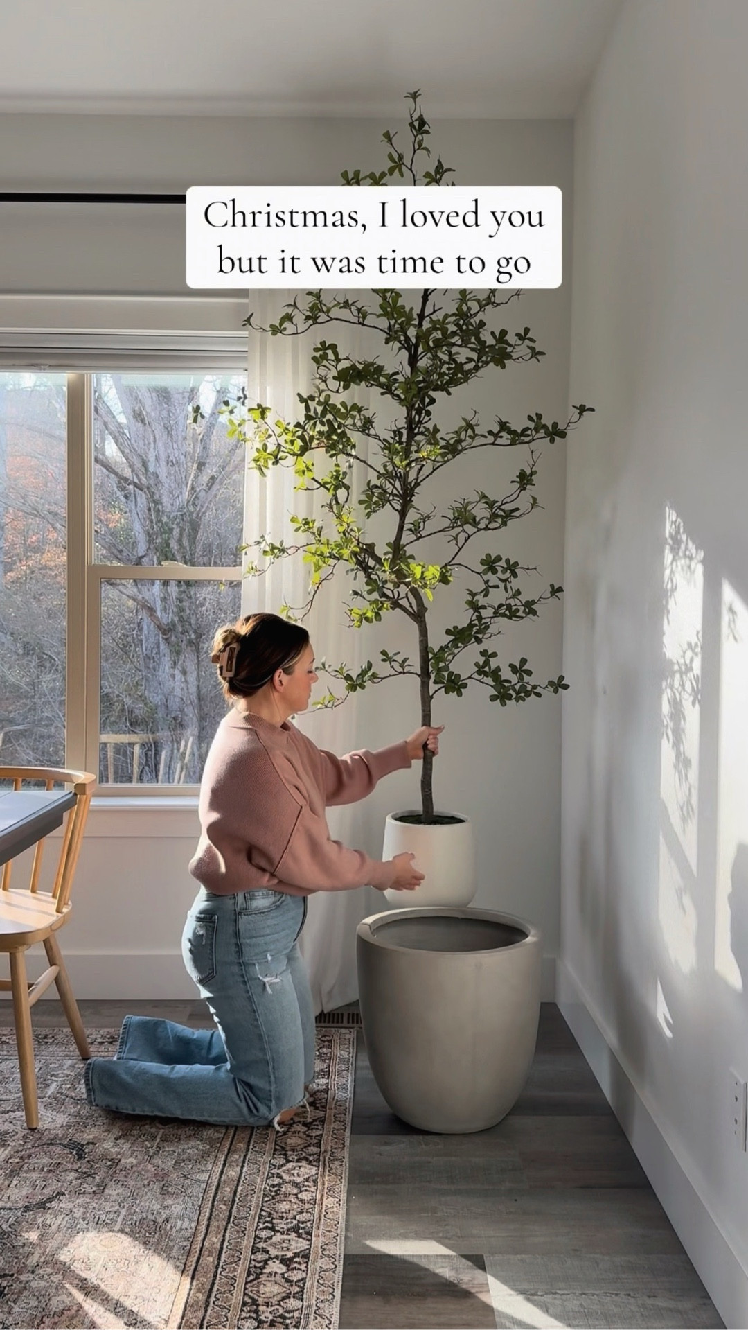 Out with the Christmas tree, in with the Shady Lady olive tree. 🫒

#LTKFindsUnder100 #LTKHome