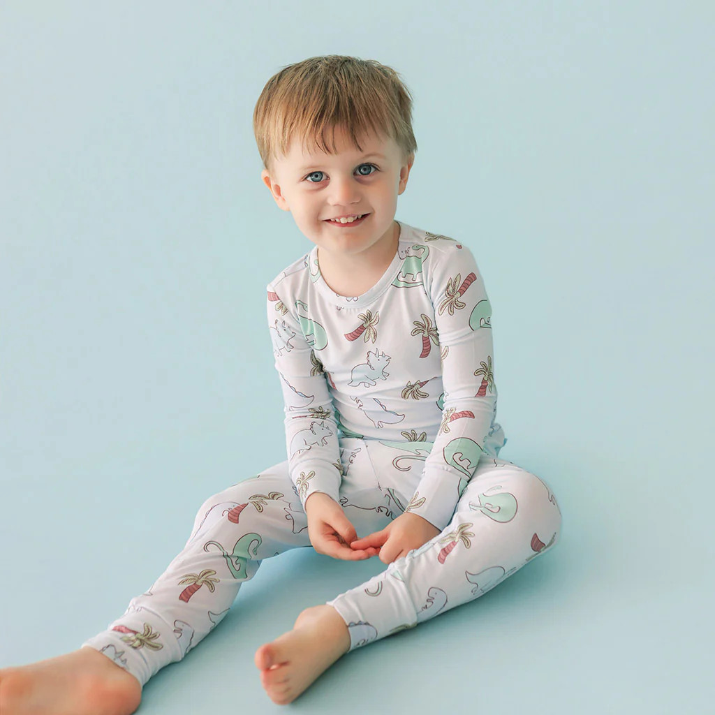 Dinosaur Blue Long Sleeve Toddler Pajamas | Eric | Posh Peanut