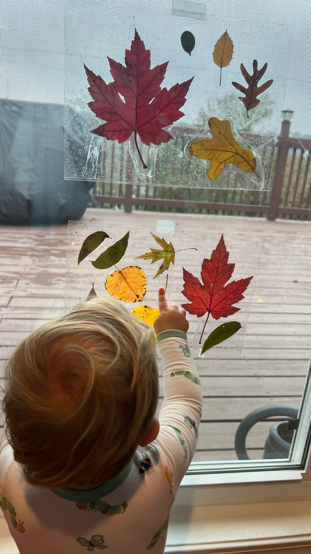 I have no idea what they’re going to do after this, hopefully they’ll stay pretty! hahaha #tinynowsinc #childcraft #fallcraft #falldiy 

#LTKmomlife #LTKSeasonal #LTKFamily