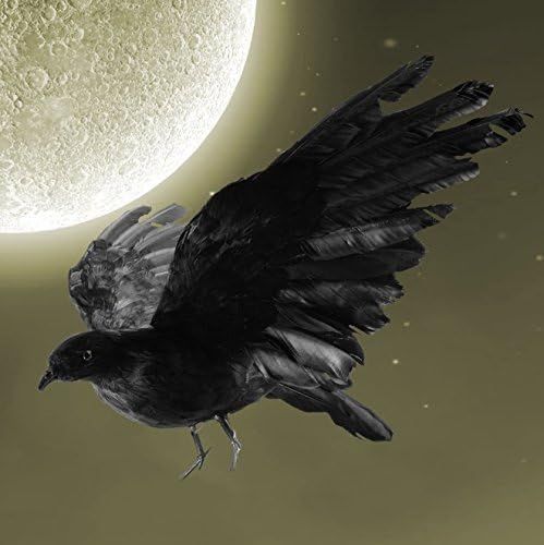 IMOSA Realistic Crow Decoration Crow Décor Crow Decoys Halloween Black Feather Raven 1 Pack Larg... | Amazon (US)