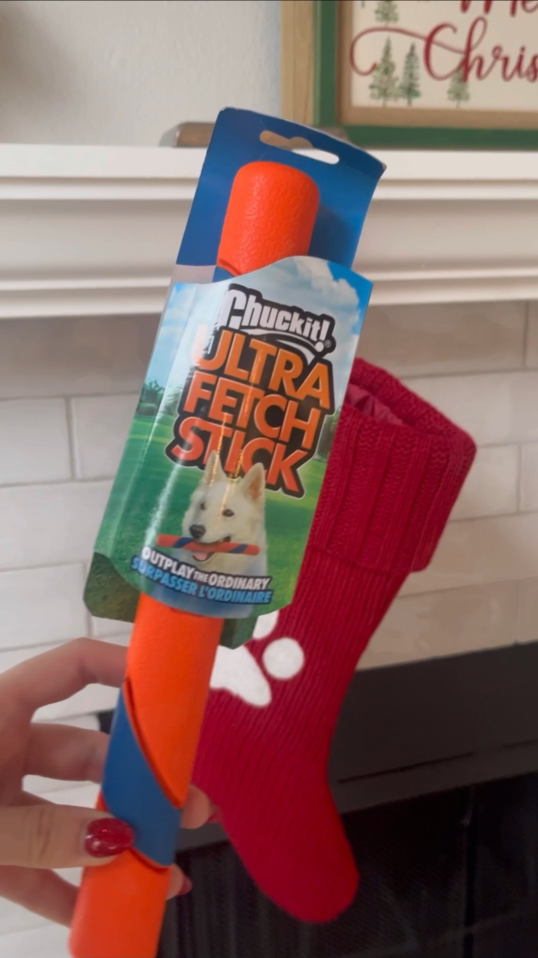 Stocking stuffers for pets 

Target finds  dog toys  dog treats  gift guide  Christmas gifts 

#LTKSeasonal #LTKHoliday #LTKGiftGuide