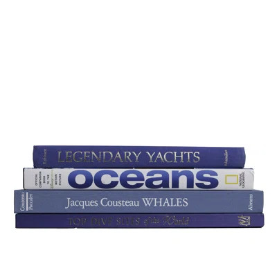 4 Piece Authentic Blue Sea Coffee Table Decorative Book Set Booth & Williams | Wayfair North America