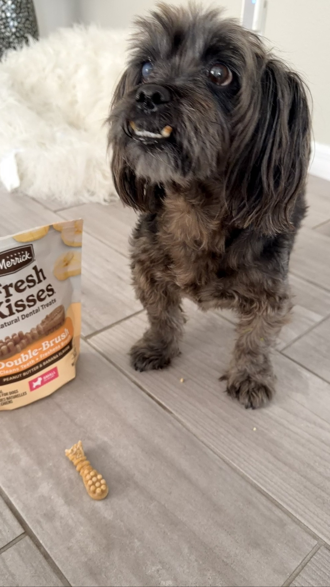 My dog’s favorite dental treats

#LTKfoodie #LTKU