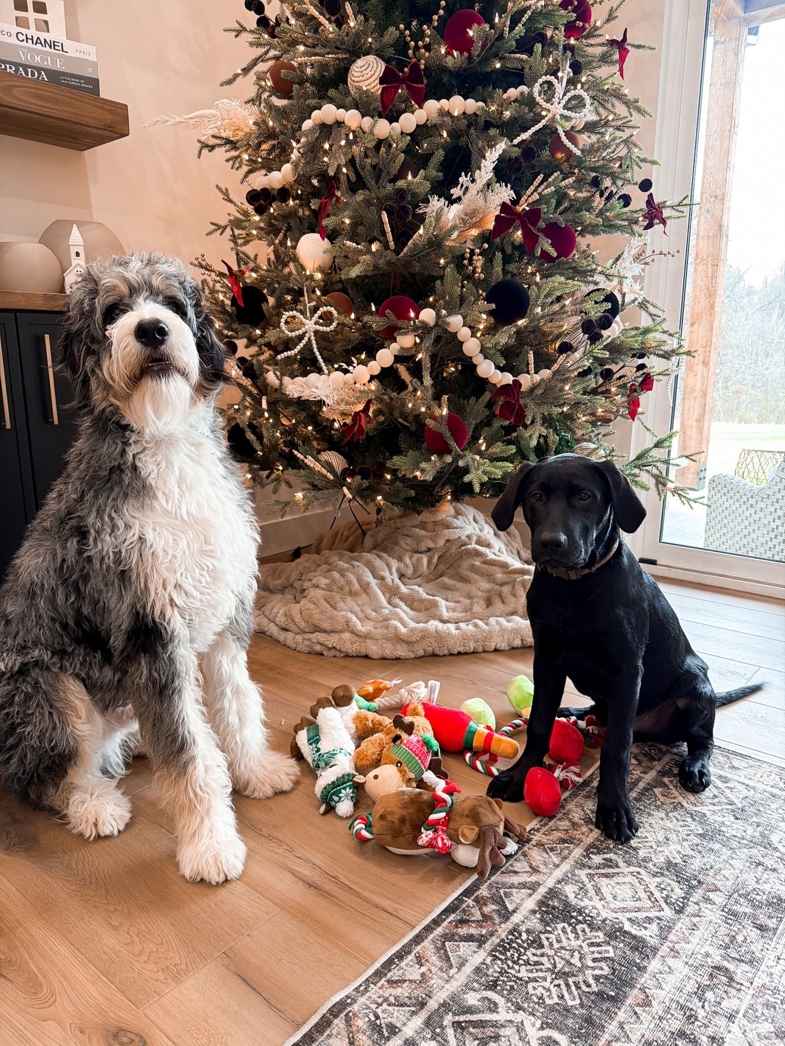 @chewy #ChewyPartner 

#LTKHoliday #LTKGiftGuide #LTKCyberWeek