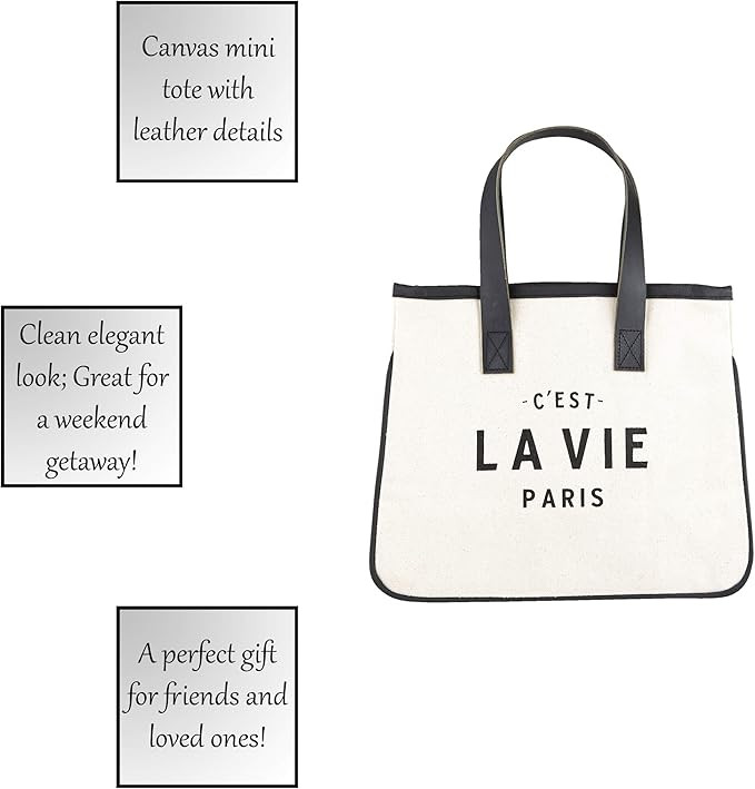 Santa Barbara Design Studio Tote Bag | Amazon (US)