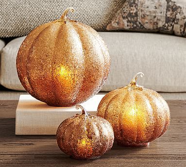 Textured Glass Amber Pumpkin Cloche | Pottery Barn (US)