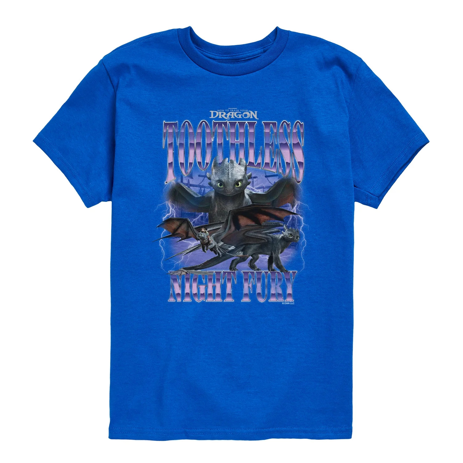 How To Train Your Dragon - Toothless Collage - Youth Short Sleeve Graphic T-Shirt | Walmart (US)
