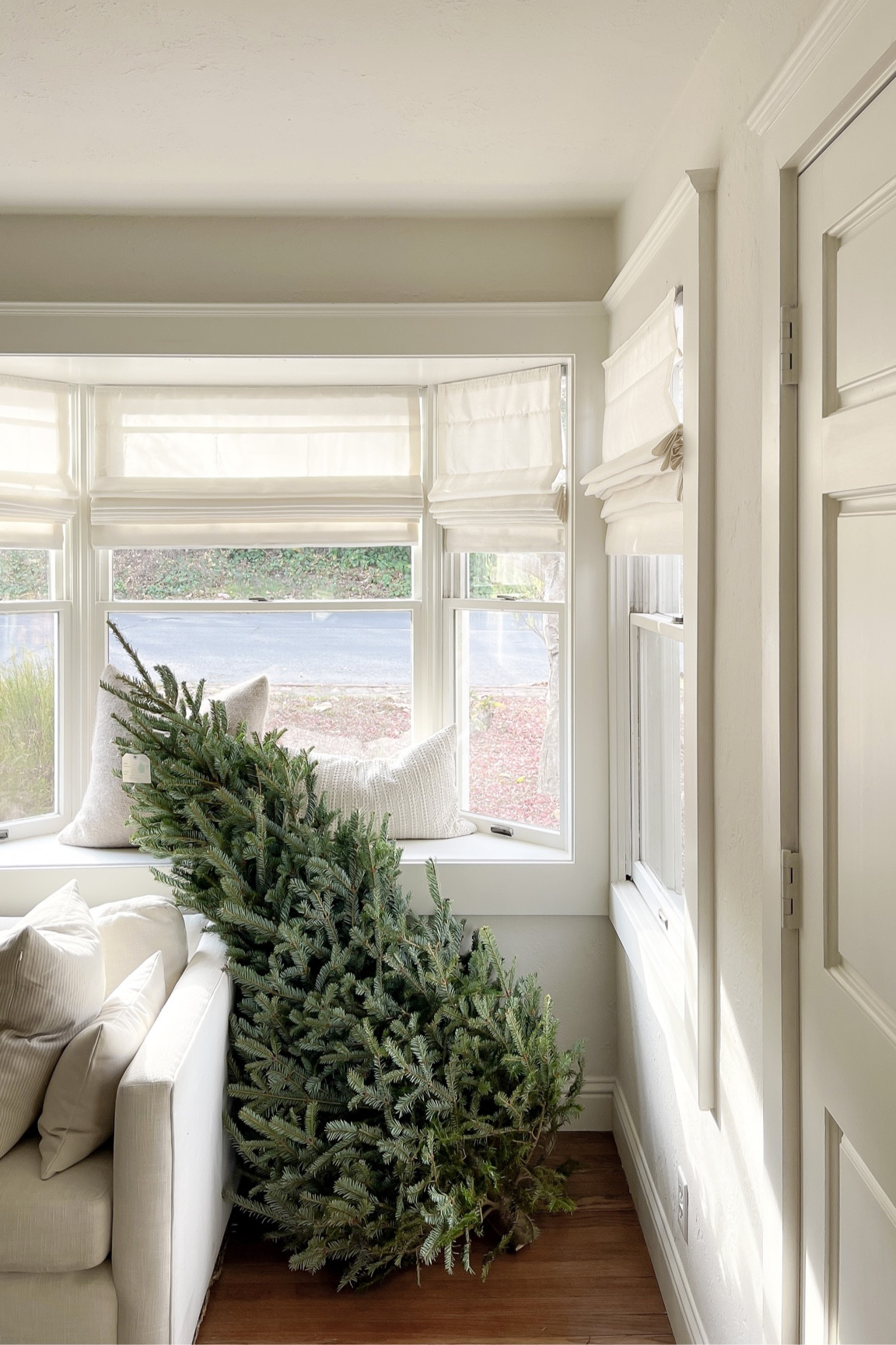 ‘Tis the holiday season 🕊️ a few living room details, including our Roman shades, white sofa and cozy alpaca pillow. Can’t wait to decorate our little Christmas tree. 🌲

#LTKhome #LTKSeasonal #LTKHoliday