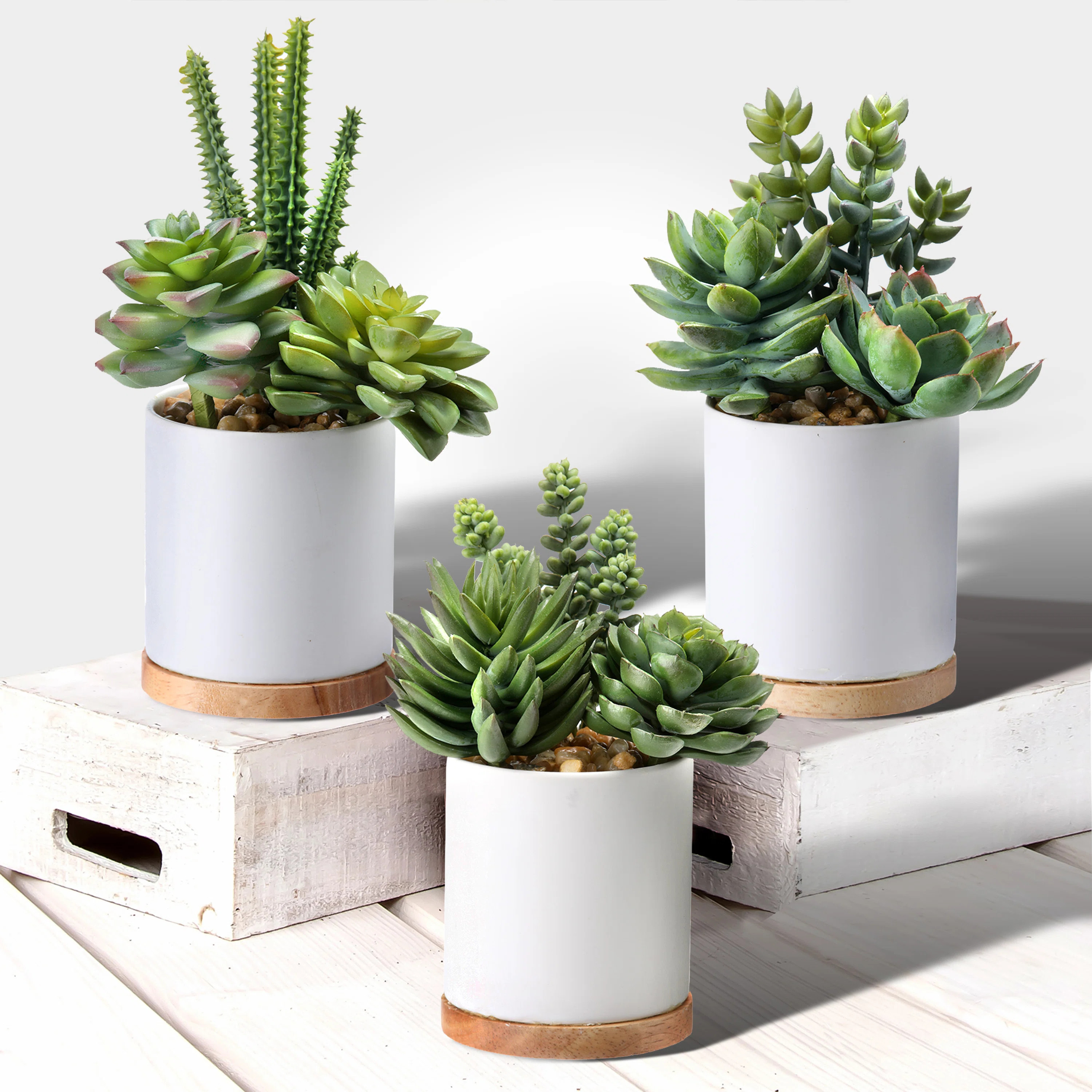 7'' Faux Succulent Plant in Ceramic Pot | Wayfair North America