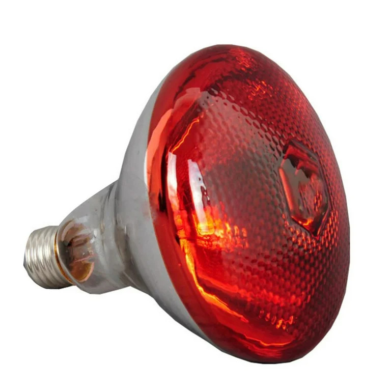 250w Infrared Heat Lamp Waterproof Anti-Explosion Thickened Light Bulbs for Piglet Chicken Duck B... | Walmart (US)