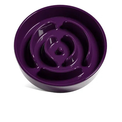 Dog Bowls Slow Feeder Ceramic, 1.5 Cups Slow Feeding Dog Bowl Small Medium Breed, Puppy Slow Feeder Bowl For Fast Eater, Dog Dishes To Slow Down Eatin | Wayfair North America