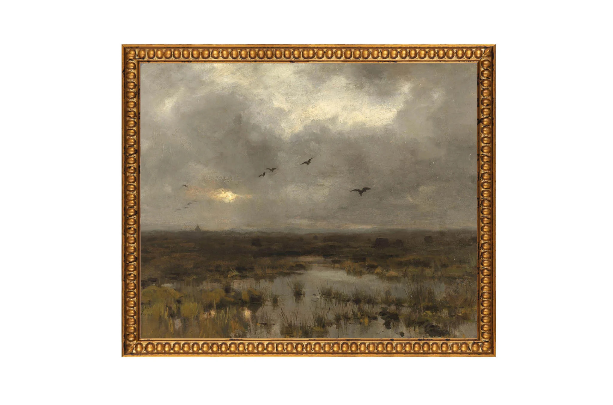 Marshlands | North and Finch