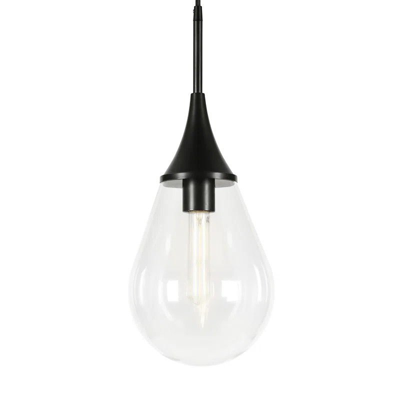 Kaylani 1 - Light Single Teardrop Pendant | Wayfair North America