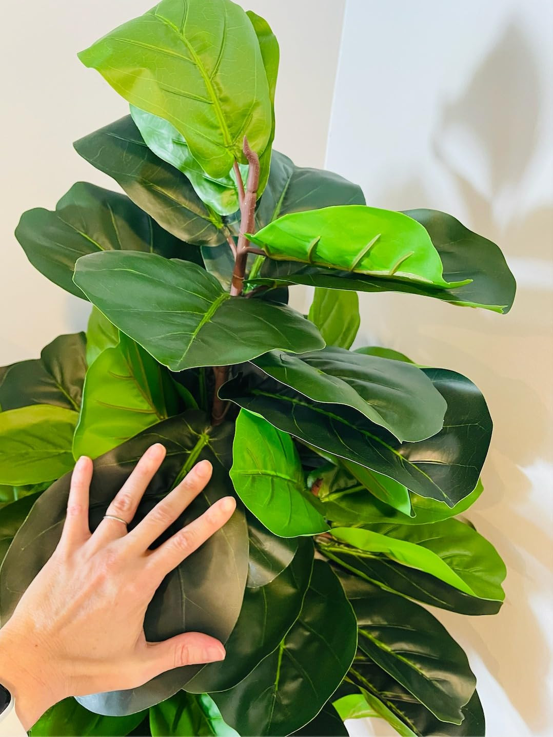 ​Realead 5ft Fiddle Leaf Fig Tree Artificial - Large Fake Fig Leaf Tree with 78 Leaves - Tall F... | Amazon (US)
