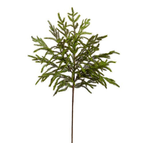 Norfolk Pine Spray | Foundation Goods