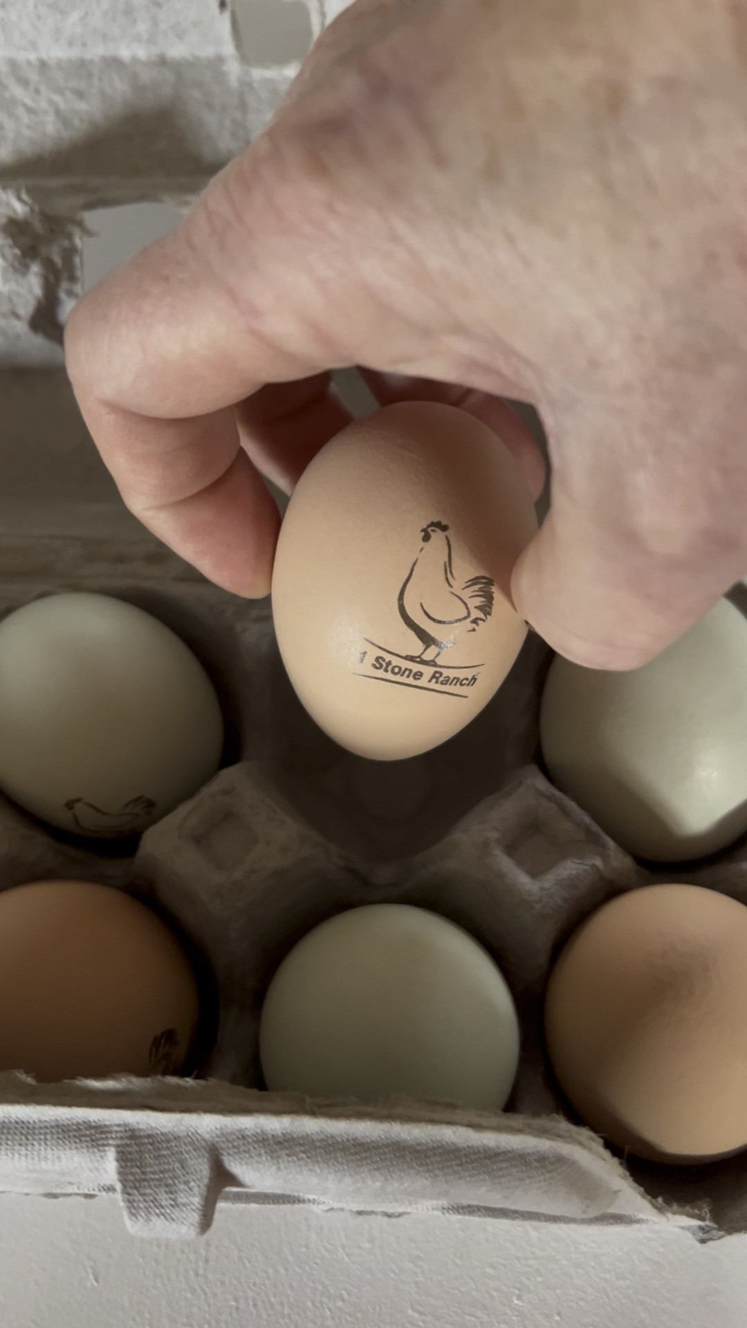 How cute is this personalized stamp?! We have egg chickens and get quite a few eggs everyday. So I love stamping our eggs and giving some to our family and friends. 🫶🏼 🥚 It comes with the ink. Would make a super cute and thoughtful gift!

Farmhouse 
Modern farmhouse 


#LTKGiftGuide #LTKfamily #LTKhome