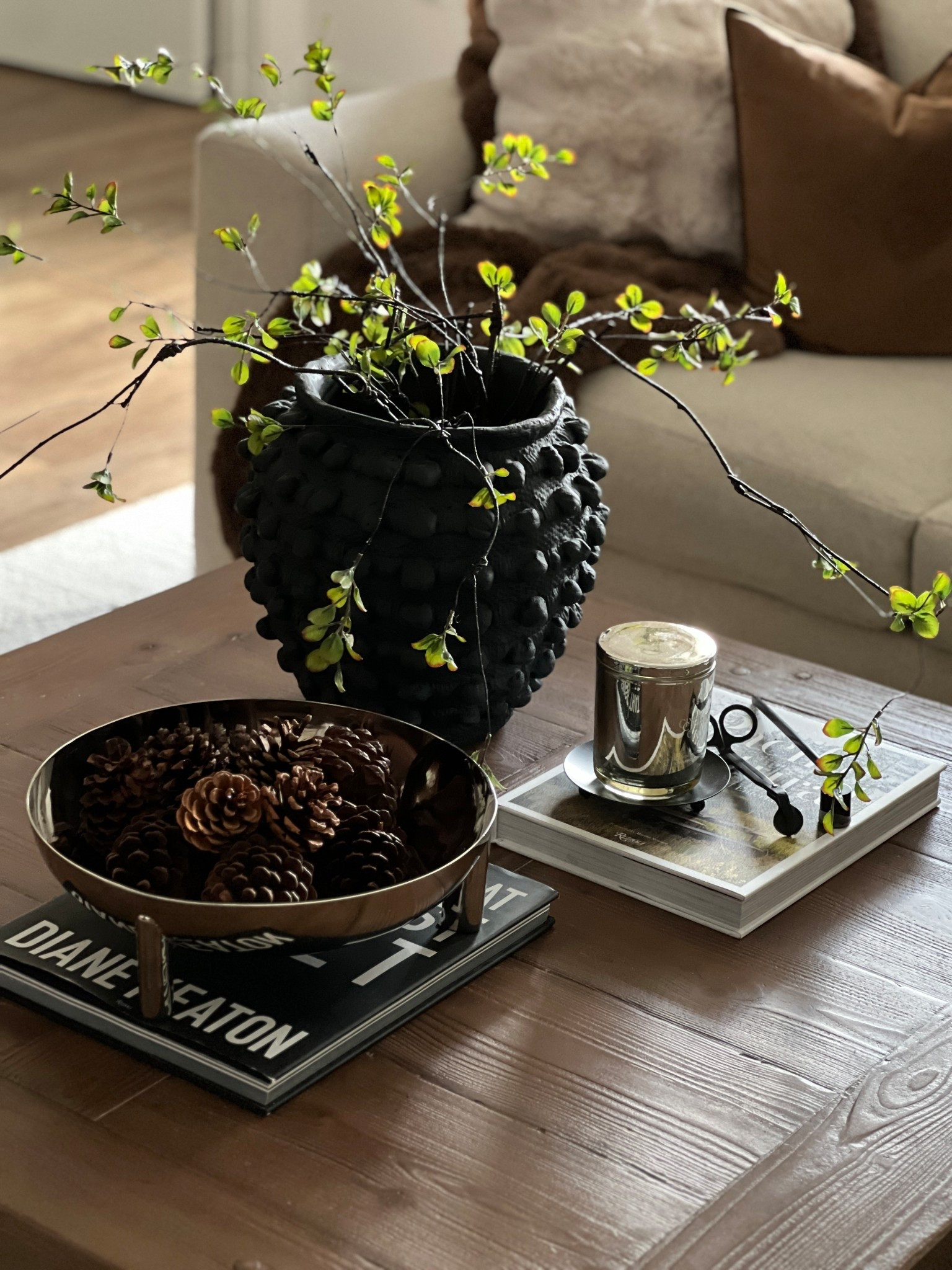 Silver is making a big statement in 2026 and this footed polished silver bowl is the most beautiful bowl I’ve ever seen! Coffee table styling, footed silver bowl, silver candle, coffee table books, wispy stems, black planter