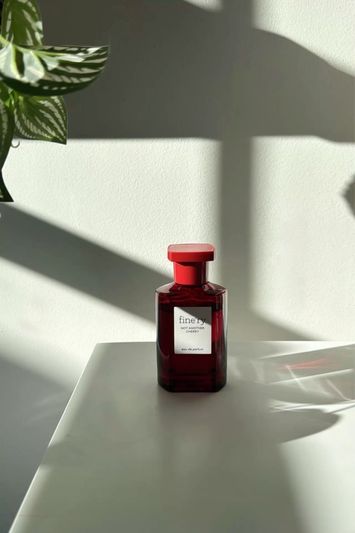 ✨ Scent Story of the Day: ✨ 
Not Another Cherry 🍒✨
Sweet, juicy cherry with a grown, sultry twist. This one opens fruity and flirty, then melts into warm almond and soft woods that linger on the skin. It’s playful but still luxe — the kind of scent that gets better the longer you wear it. If you love a cherry that feels bold, cozy, and a little addictive… this is the one.

#LTKFindsUnder50 #LTKselfcare #LTKBeauty