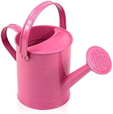 DAMEING Iron Watering Can Metal Watering Can Copper Accents with Anti-Rust Powder Coating for Garden | Amazon (US)