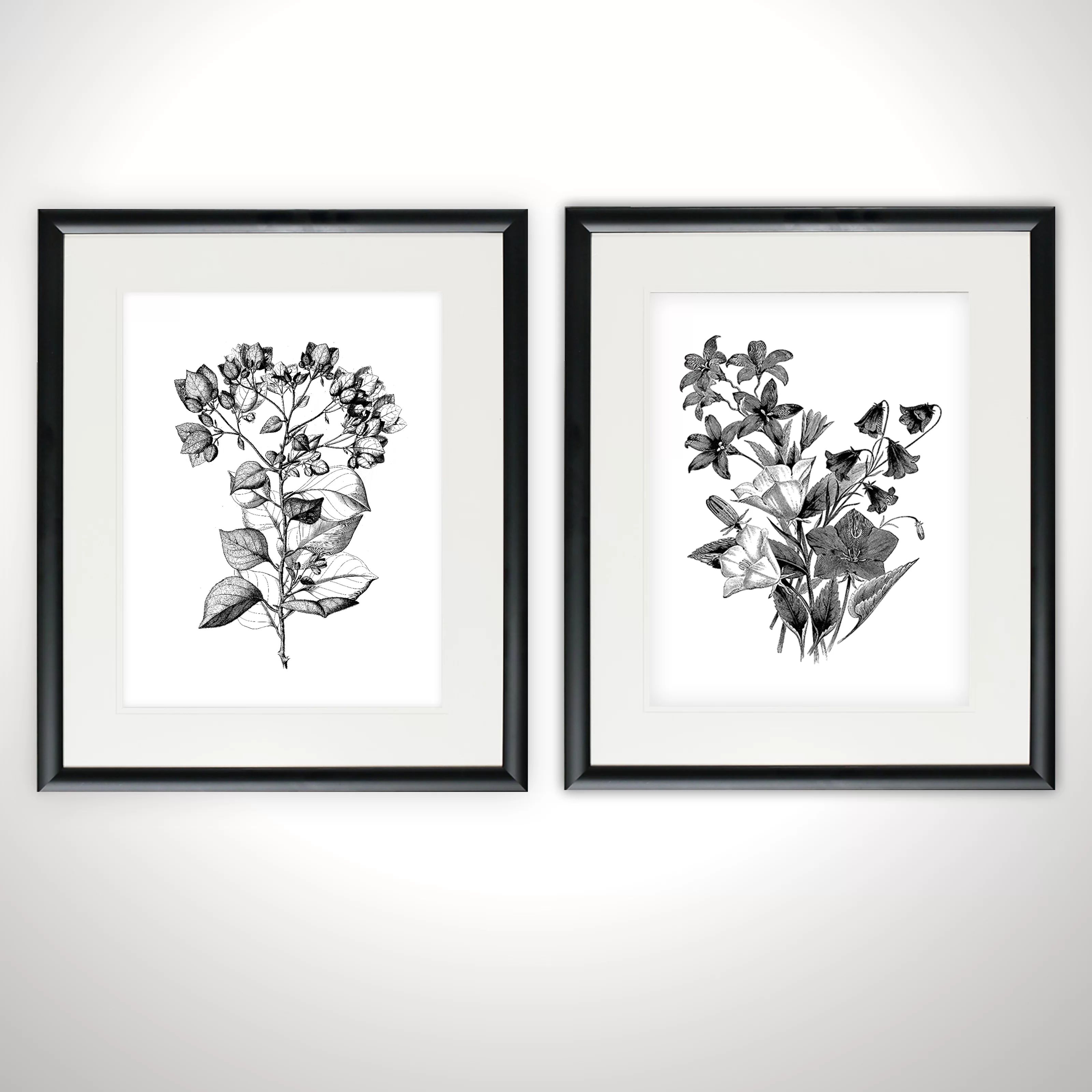 Botanical Black And White - 2 Piece Print | Wayfair North America