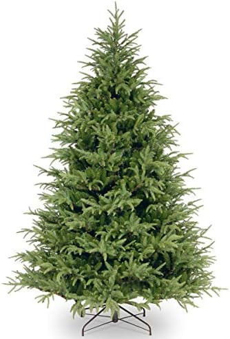 National Tree Company 'Feel Real' Artificial Full Christmas Tree, Green, Frasier Grande, Includes... | Amazon (US)