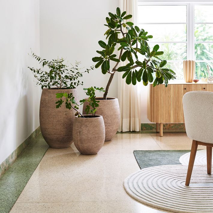 Curved Ficonstone Indoor/Outdoor Planters | West Elm (US)