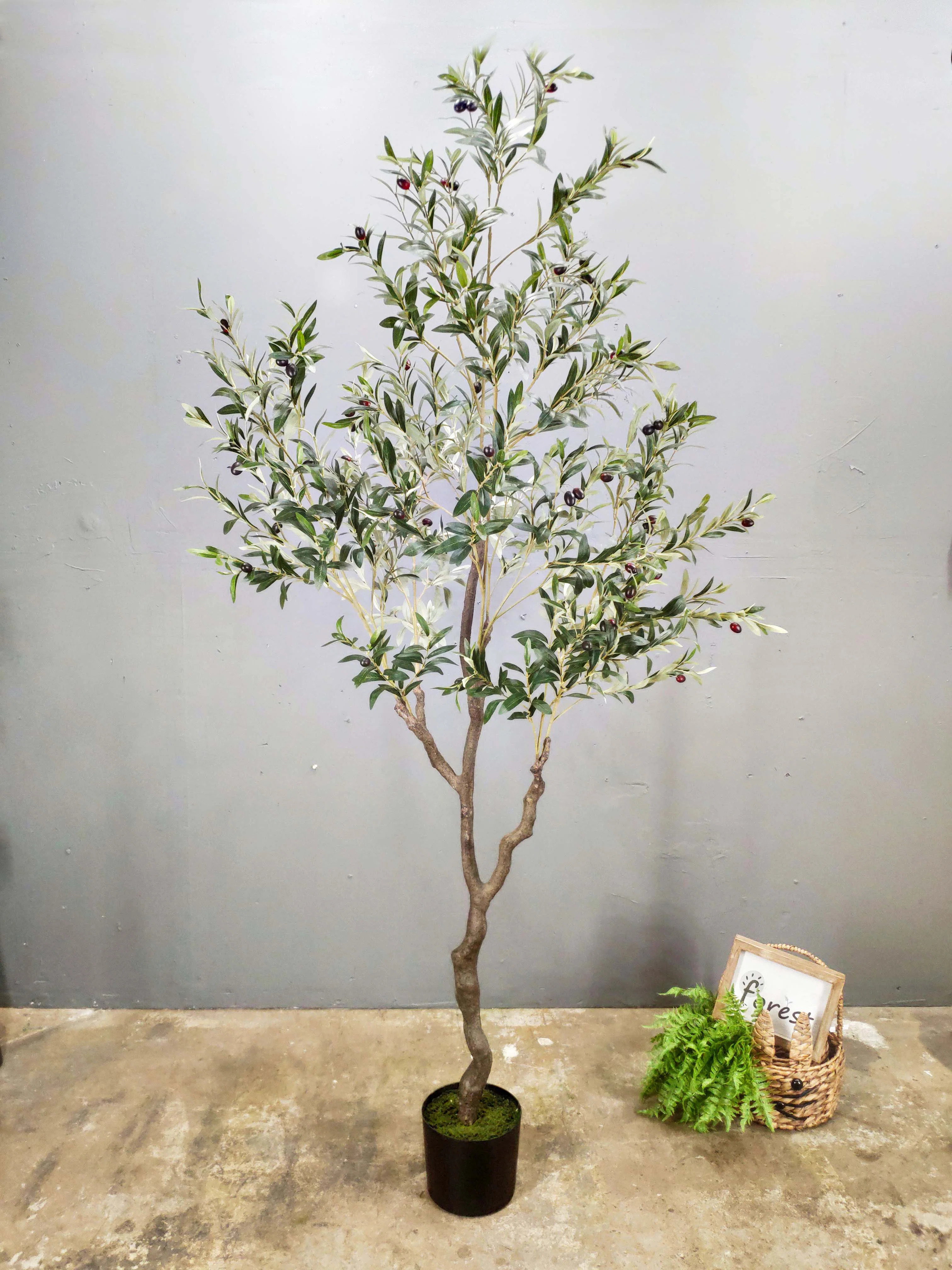 Primrue Large Artificial Olive Tree, Faux Olive tree 84" （7 foot） | Wayfair | Wayfair North America