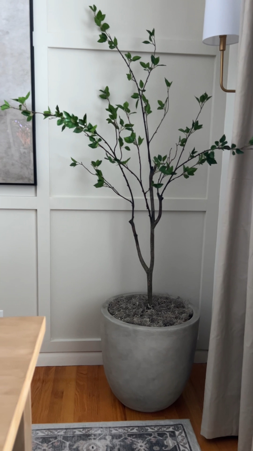 Putting together my new tree and planter  

#LTKVideo #LTKMostLoved #LTKhome