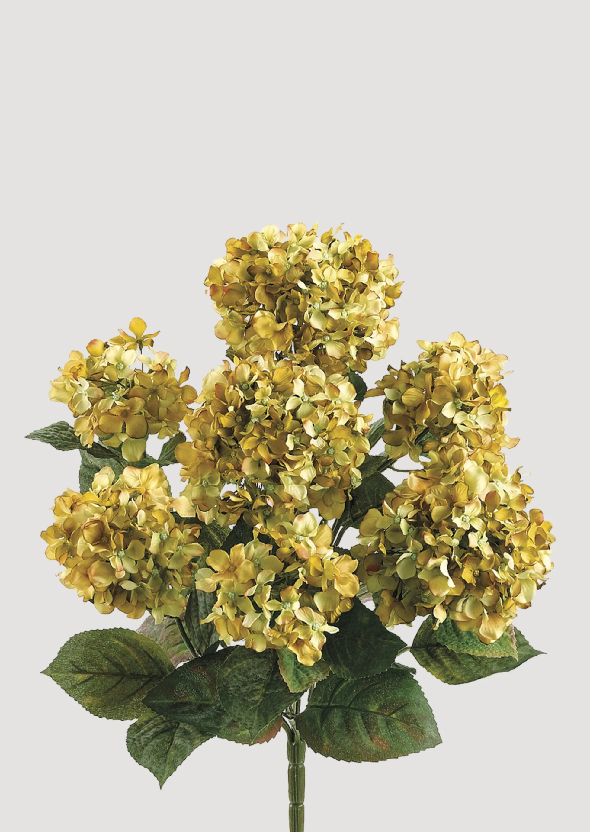 Vintage Green Hydrangea Bush | Premium Artificial Flowers | Afloral | Afloral