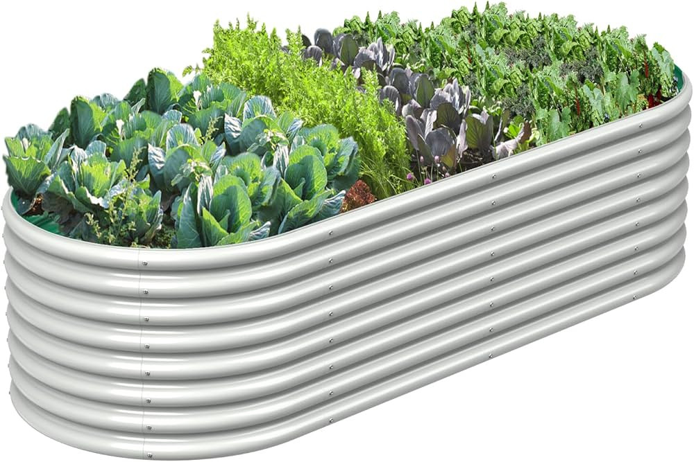 Brand: FRIZIONE | Amazon (CA)