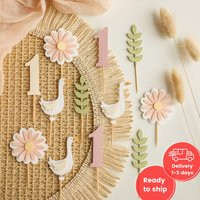 Silly Goose Cupcake Toppers - Girl First Birthday Decorations | Etsy (US)