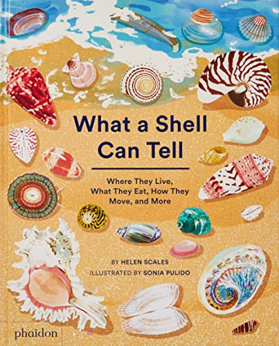 What A Shell Can Tell | Amazon (US)