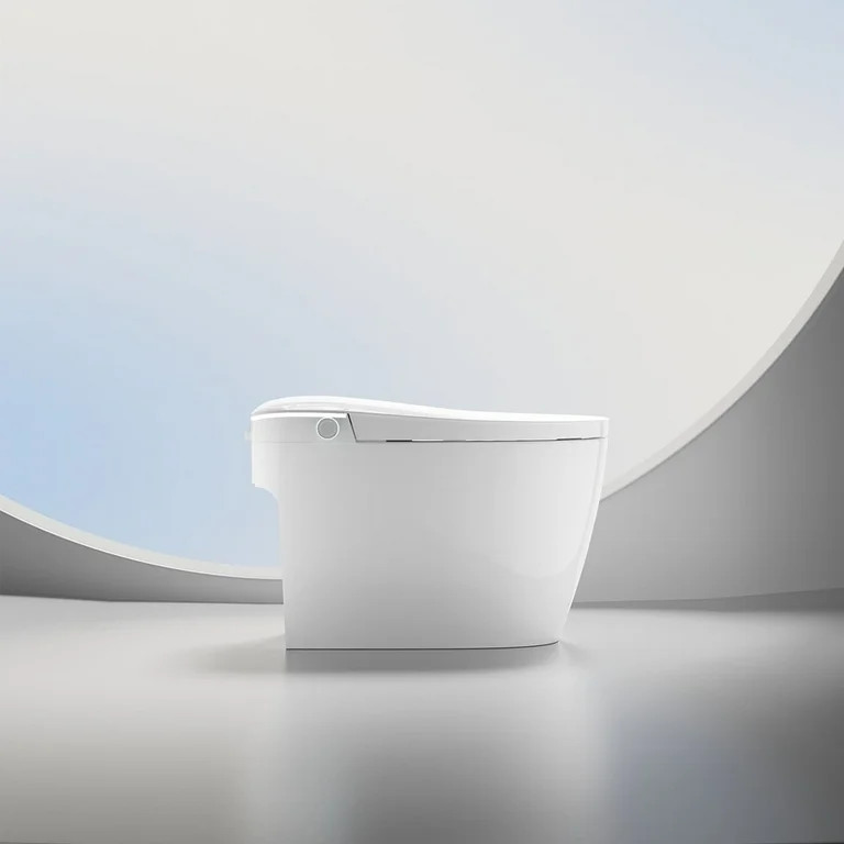 ExBrite Smart Toilets with Heated Bidet Seat.Portable toilet with bidet built.Intelligent Toilet ... | Walmart (US)
