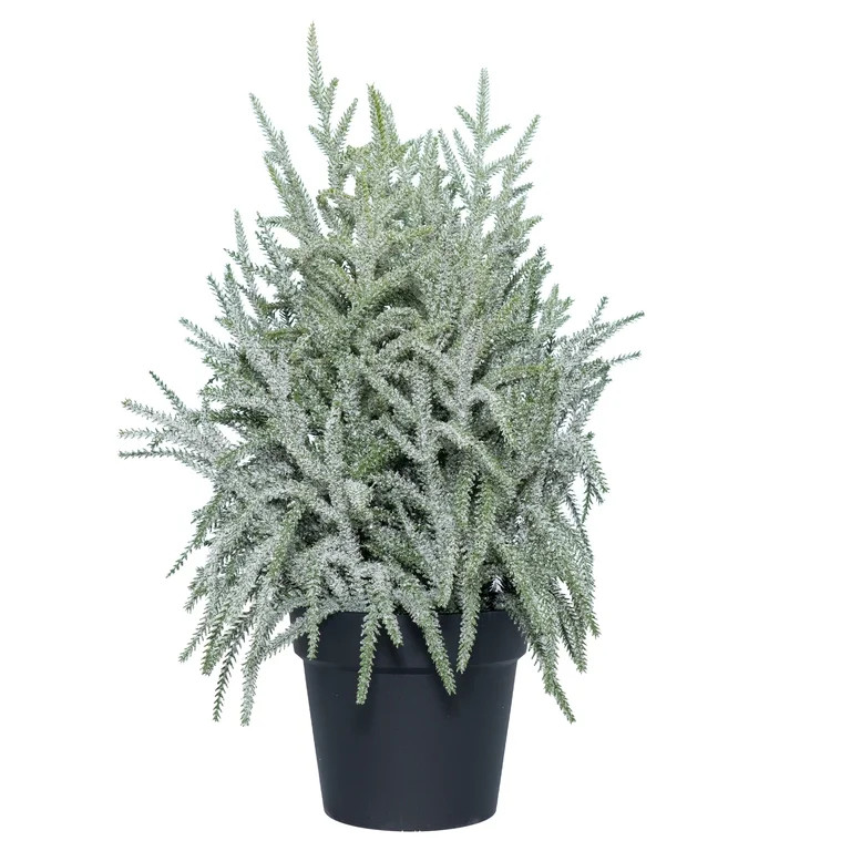My Texas House Snow-Flocked Evergreen Christmas Arrangement in Pot, Green/White/Black, 24" | Walmart (US)